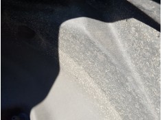 PLASTICO PASE RUEDA TRAS. DCH. 9829469180 