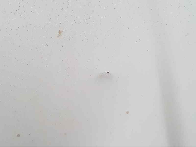 Recambio de capot para nissan pick-up (d22) cabina simple diesel referencia OEM IAM   TOCADO