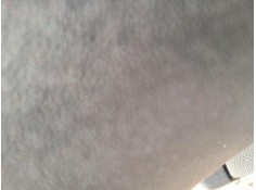 ELEVALUNAS DELANTERO IZQUIERDO 9810287780 