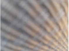 ELEVALUNAS DELANTERO DERECHO 51337490192 