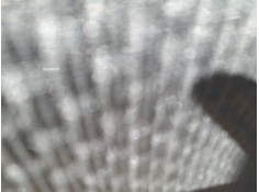 Recambio de elevalunas delantero izquierdo para bmw 2 active tourer (f45) 218 i referencia OEM IAM 51337490191  