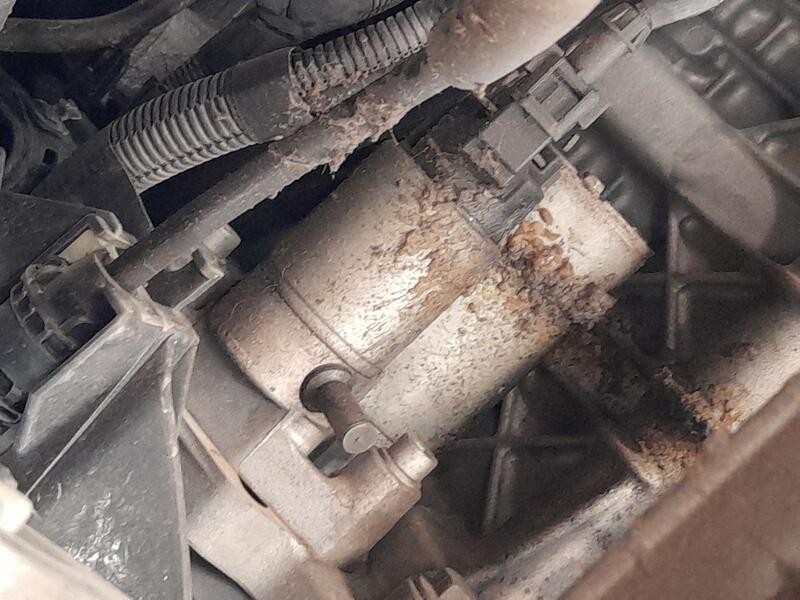 Recambio de motor arranque para citroën c4 cactus 1.2 vti 82 referencia OEM IAM 1608064680  