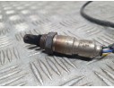 Recambio de sonda lambda para ford focus lim. business referencia OEM IAM F1F19Y460DA  