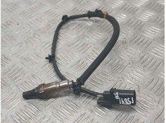 SONDA LAMBDA 55489509 