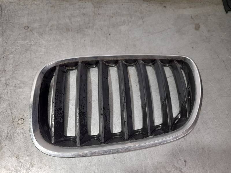 Recambio de rejilla delantera para bmw x5 (e53) 3.0d referencia OEM IAM 51137113733  IZQUIERDA