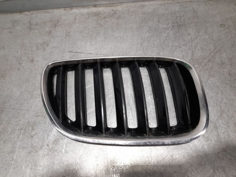 Recambio de rejilla delantera para bmw x5 (e53) 3.0d referencia OEM IAM 51137113734  DERECHA