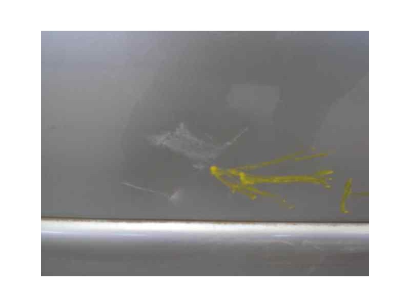 Recambio de puerta delantera derecha para opel vectra b berlina básico (1999) referencia OEM IAM  1000002317914 