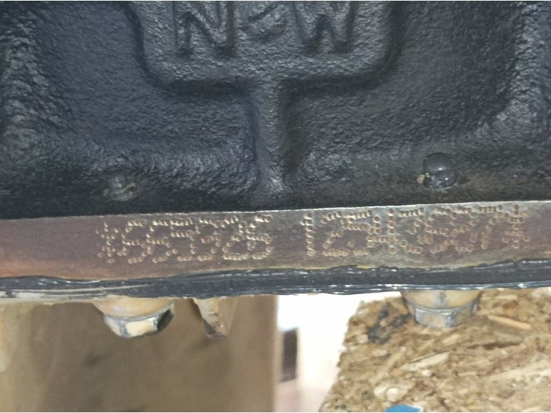 Recambio de motor completo para ssangyong rodius xdi referencia OEM IAM 665926  12543687