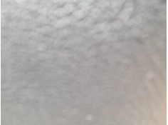 ELEVALUNAS DELANTERO DERECHO 807205FA2A 