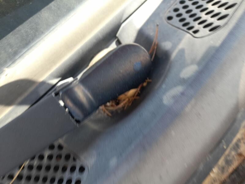 Recambio de motor limpia delantero para citroën c3 i (fc_, fn_) 1.4 i referencia OEM IAM 6401F4  