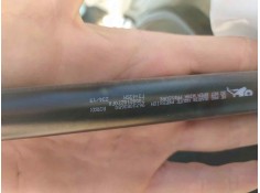 AMORTIGUADORES MALETERO / PORTON 1609616580 