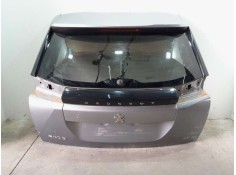 PORTON TRASERO 9831045880 