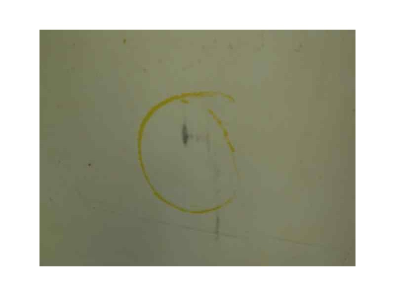 Recambio de capot para opel astra f berlina 1.7 turbodiesel (17 dt / lu8) referencia OEM IAM  1000002353608 