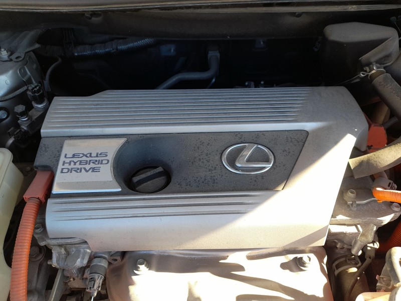 Recambio de tapa motor para lexus nx (_z1_) 300h (ayz10_) referencia OEM IAM 1260136162  