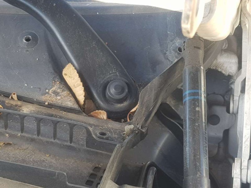 Recambio de motor limpia delantero para bmw serie 3 lim. (f30) 320d advantage referencia OEM IAM 61617260488  