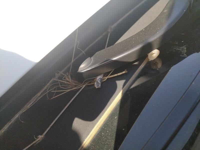 Recambio de motor limpia delantero para volkswagen t-cross (c11, d31) 1.0 tsi referencia OEM IAM 2GM955023B  