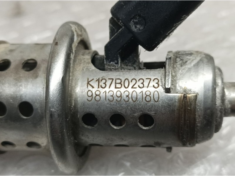 Recambio de inyector adblue para citroën c3 feel referencia OEM IAM 9813930180  