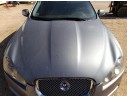 Recambio de capot para jaguar xf i (x250) 2.7 d referencia OEM IAM C2Z11444  