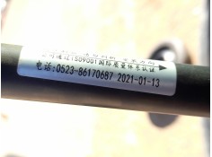 AMORTIGUADORES MALETERO / PORTON 86170687 