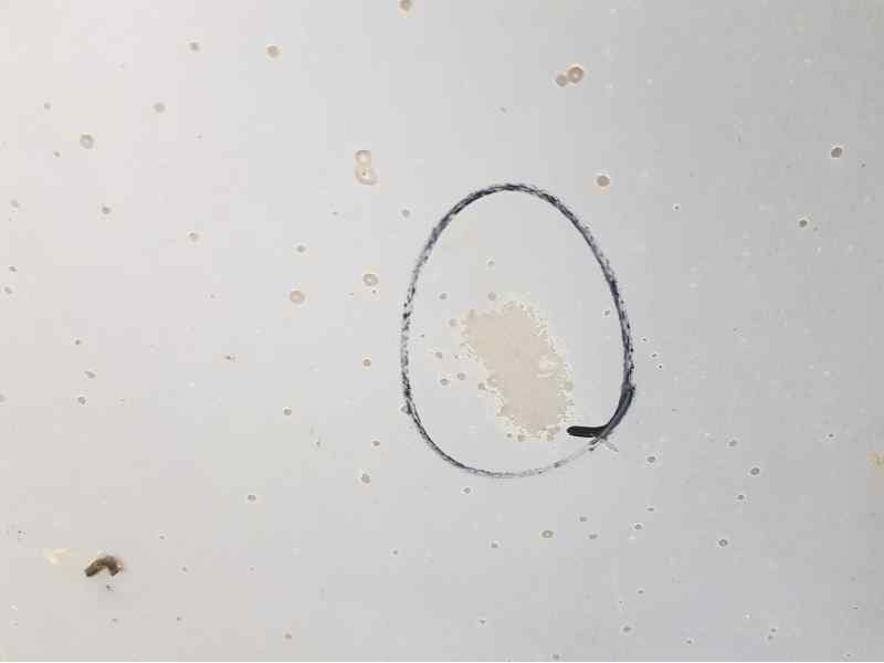 Recambio de capot para renault 14 gts referencia OEM IAM 7701459439  TOCADO