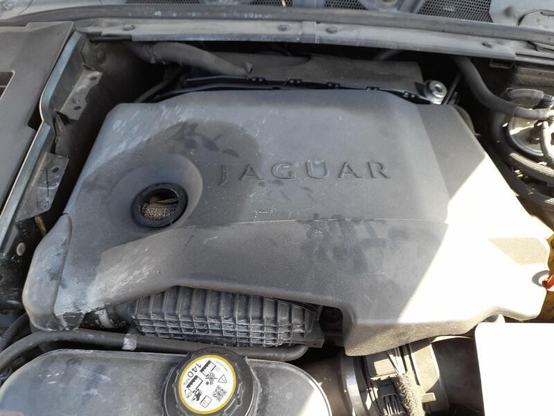 Recambio de tapa motor para jaguar xf i (x250) 2.7 d referencia OEM IAM C2D32674  