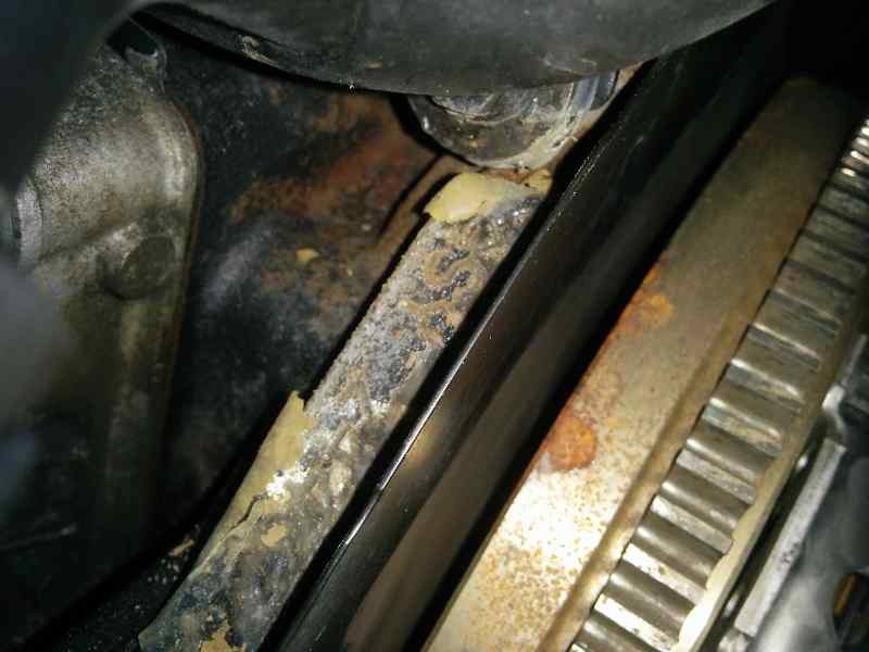 Recambio de motor completo para seat cordoba berlina (6l2) stella referencia OEM IAM ASY 244338 