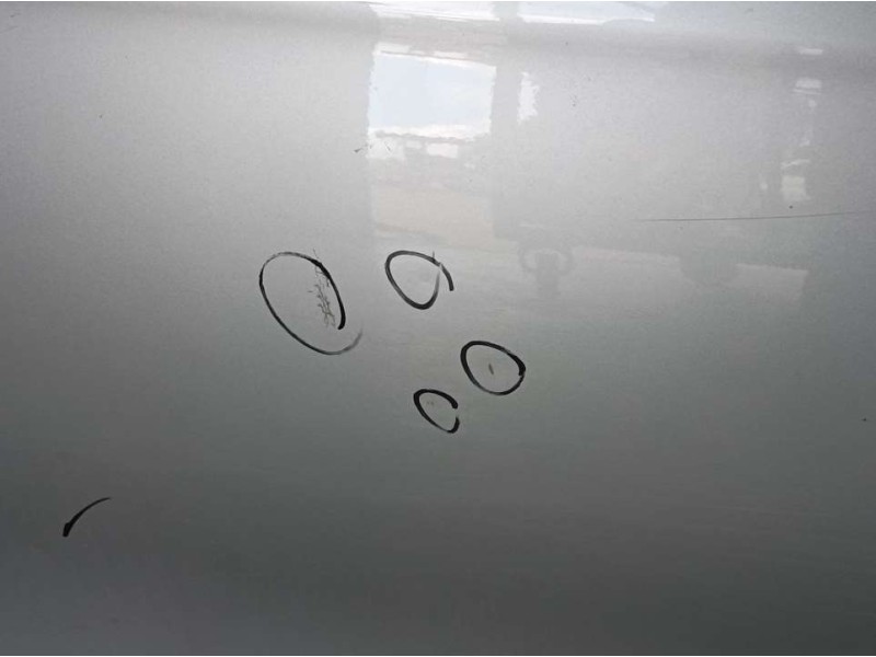 Recambio de puerta delantera derecha para fiat bravo (198) 1.9 dynamic multijet referencia OEM IAM   TOCADA