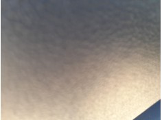 ELEVALUNAS DELANTERO IZQUIERDO 1738645 