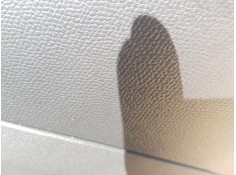 ELEVALUNAS TRASERO DERECHO 9829045880 