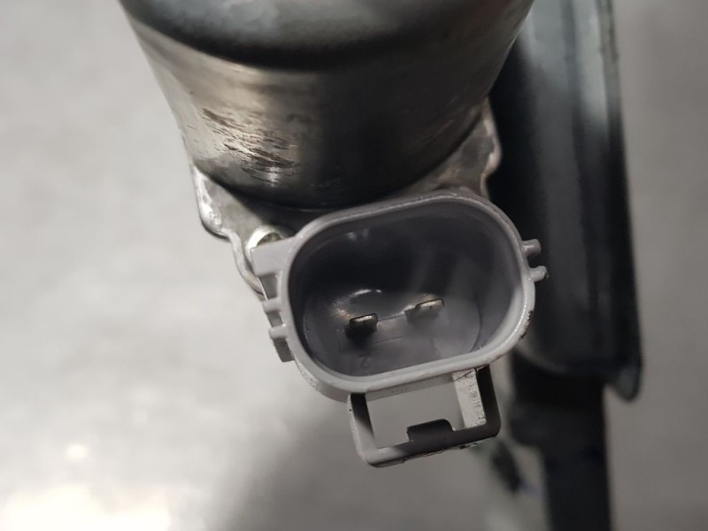 Recambio de elevalunas trasero derecho para ford ka+ active referencia OEM IAM   ELECTRICO 2 PINS