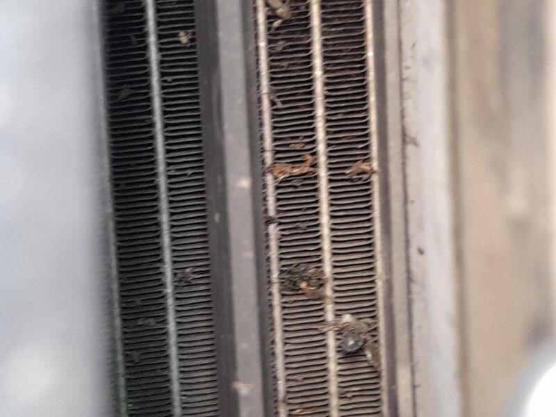 Recambio de condensador / radiador aire acondicionado para ford focus iii 1.6 ecoboost referencia OEM IAM 2002808  