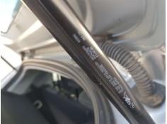 AMORTIGUADORES MALETERO / PORTON 9831976680 