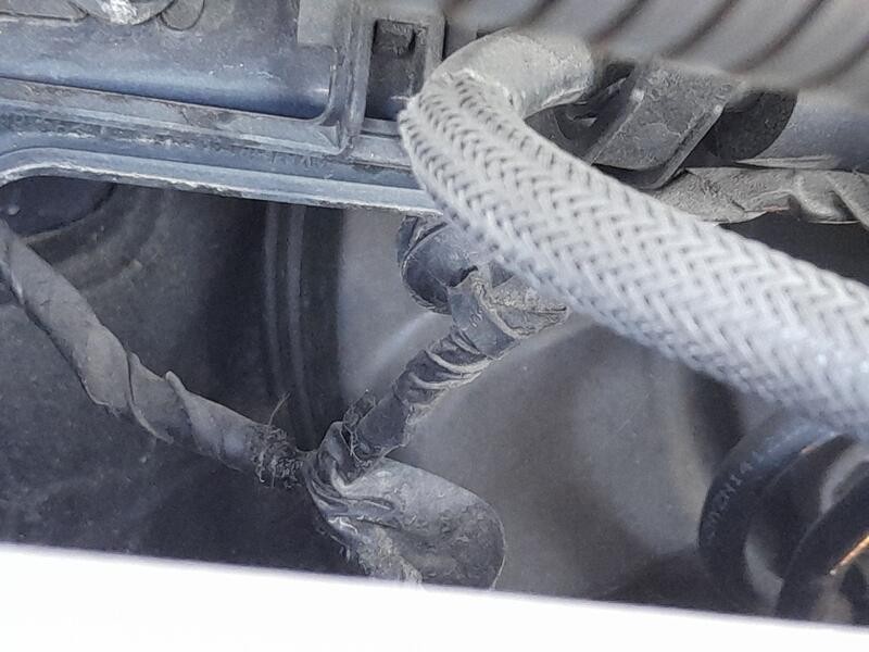 Recambio de servofreno para ford focus iii 1.6 ecoboost referencia OEM IAM 1715814  