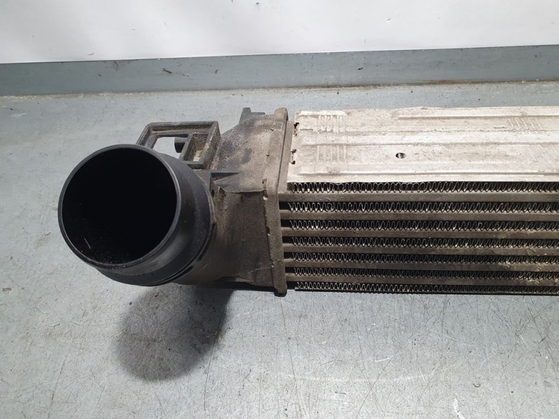 Recambio de intercooler para renault scenic iii dynamique referencia OEM IAM   