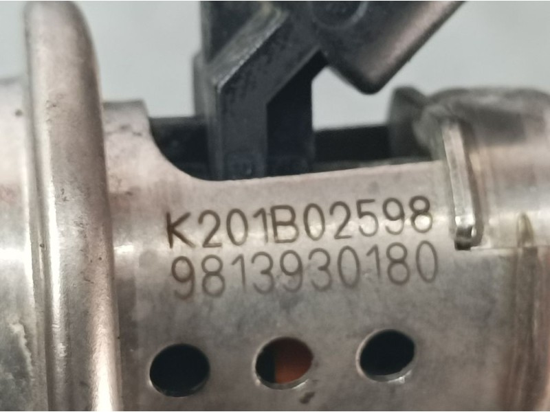 Recambio de inyector adblue para citroën c3 live referencia OEM IAM 9813930180  