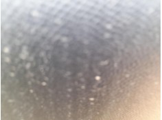 ELEVALUNAS TRASERO DERECHO 9829045580 