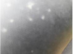 ELEVALUNAS TRASERO IZQUIERDO 9829045980 