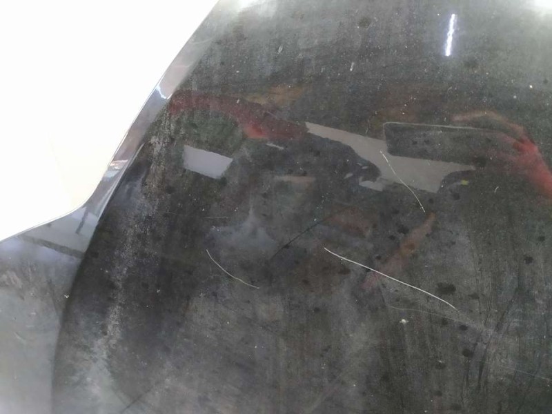 Recambio de capot para renault laguna iii authentique referencia OEM IAM 651000021R  RAYADO