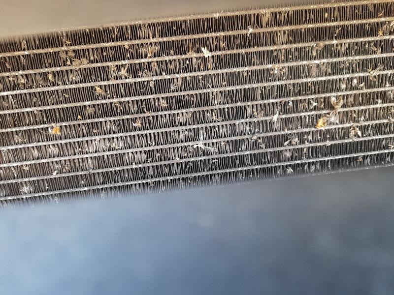 Recambio de condensador / radiador aire acondicionado para citroën nemo monospace 1.4 hdi referencia OEM IAM 1626239780  