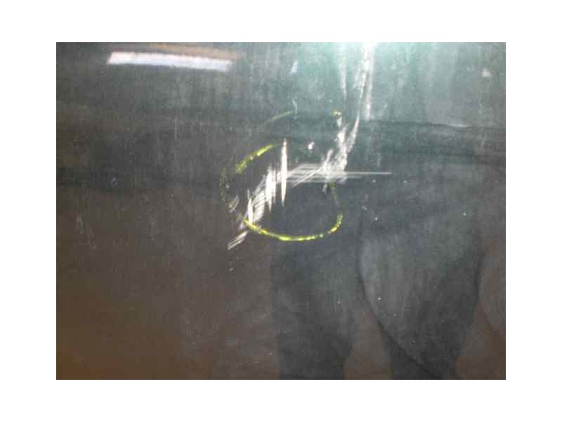 Recambio de capot para hyundai sonata (y3) 2.0 cat referencia OEM IAM   