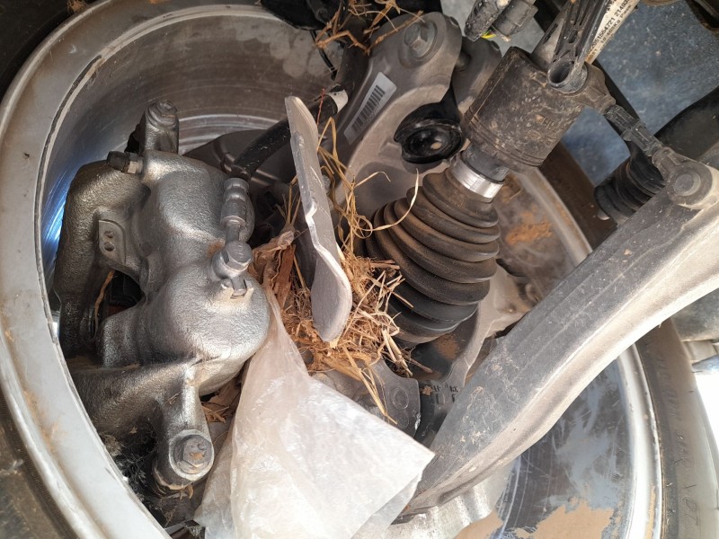 Recambio de mangueta delantera derecha para land rover range rover evoque (l551) 2.0 d150 mhev 4x4 referencia OEM IAM LR178182  