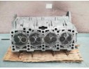 Recambio de culata para seat leon (1p1) 1.9 tdi referencia OEM IAM 038103373R  