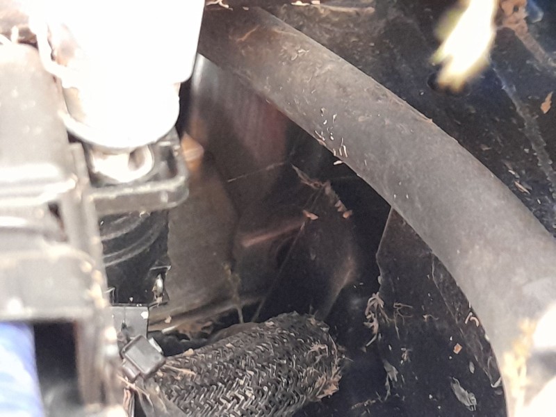 Recambio de refuerzo paragolpes delantero para land rover range rover evoque (l551) 2.0 d150 mhev 4x4 referencia OEM IAM LR13698