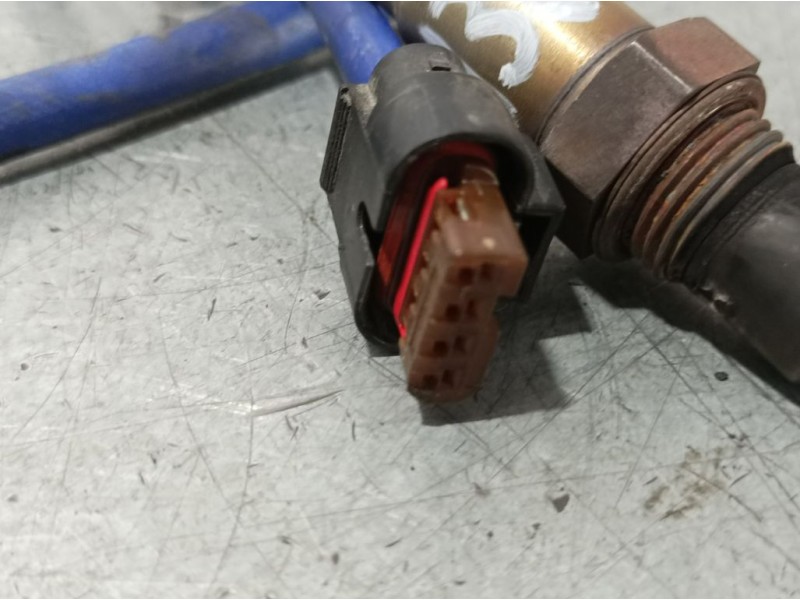 Recambio de sonda lambda para ford kuga (cbs) trend referencia OEM IAM 258010405  BOSCH