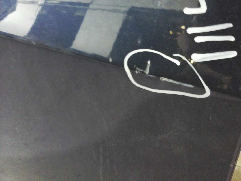 Recambio de puerta delantera derecha para bmw x5 (e70) xdrive30d referencia OEM IAM   ROZADA