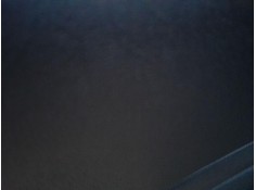 ELEVALUNAS DELANTERO IZQUIERDO 807210014R 