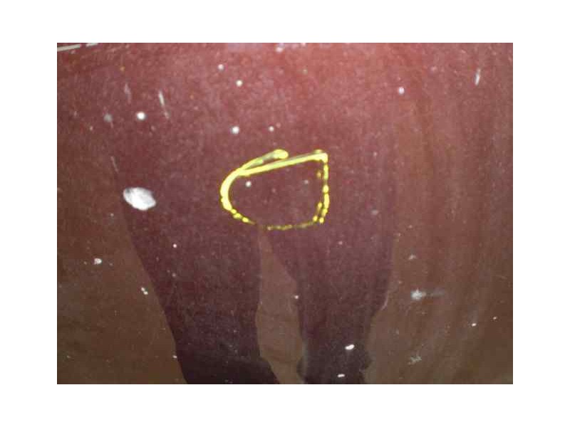 Recambio de capot para renault laguna ii (bg0) authentique referencia OEM IAM   