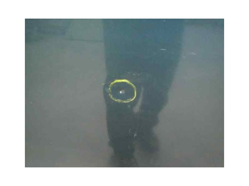 Recambio de capot para tata safari referencia OEM IAM   