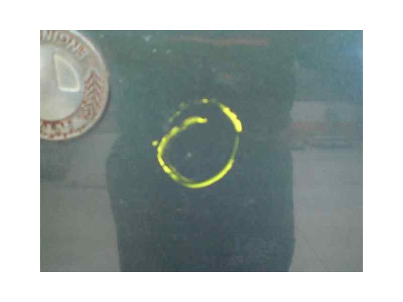 Recambio de capot para tata safari referencia OEM IAM   