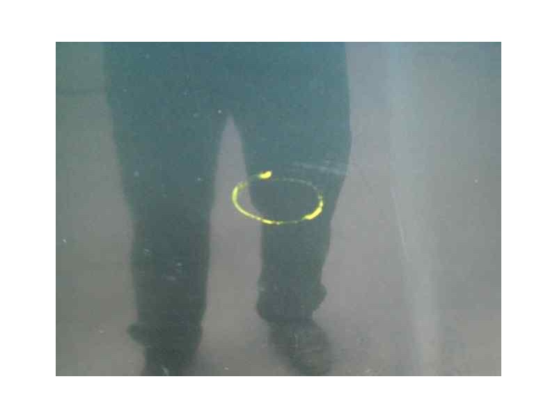 Recambio de capot para tata safari referencia OEM IAM   